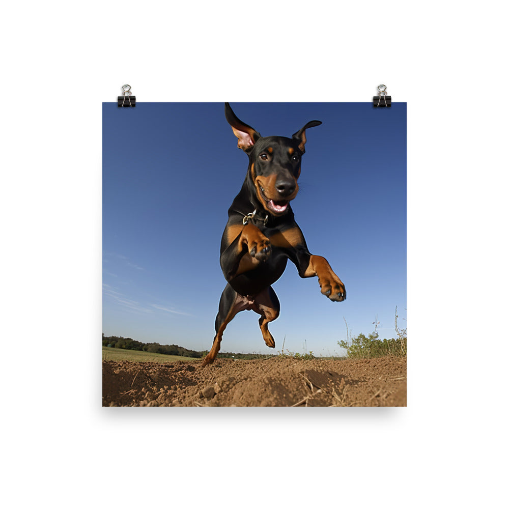 The playful side of a Doberman Pinscher Photo paper poster - PosterfyAI.com