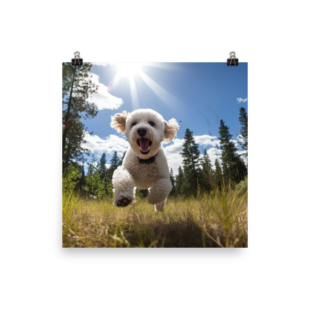 The Playful Poodle Photo paper poster - PosterfyAI.com