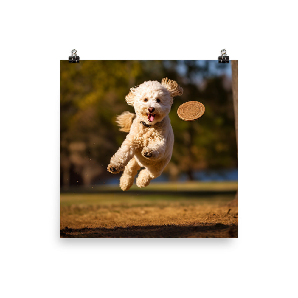 The Playful Poodle in Action Photo paper poster - PosterfyAI.com