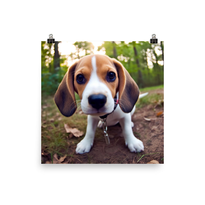 The curious eyes of a Beagle pup Photo paper poster - PosterfyAI.com