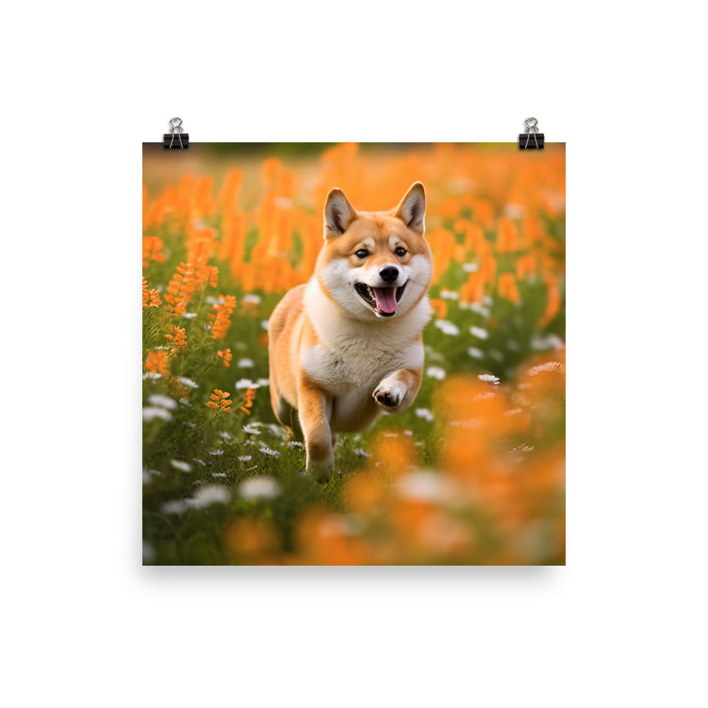 Shiba Inu Running Photo paper poster - PosterfyAI.com