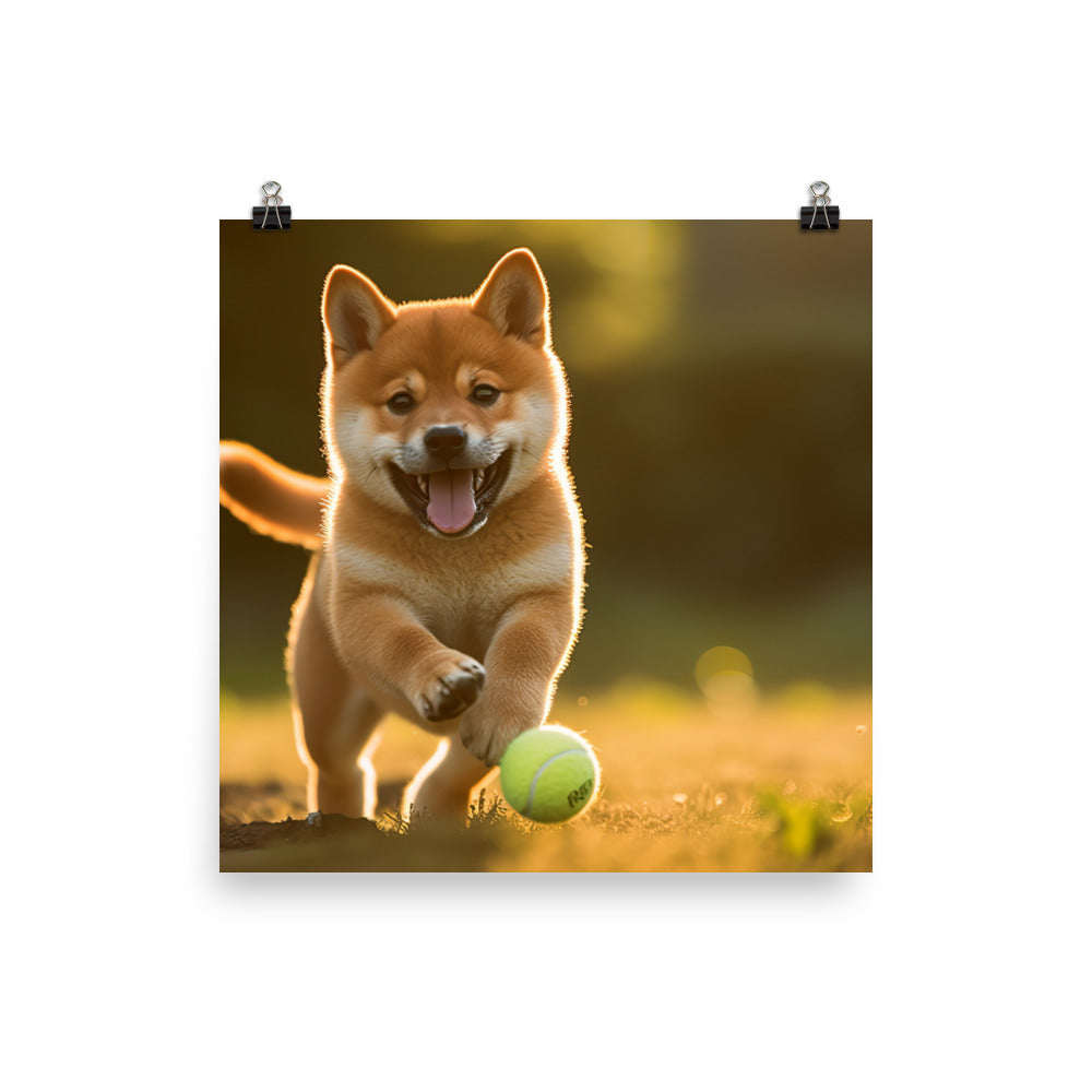 Shiba Inu Pup Playing Photo paper poster - PosterfyAI.com