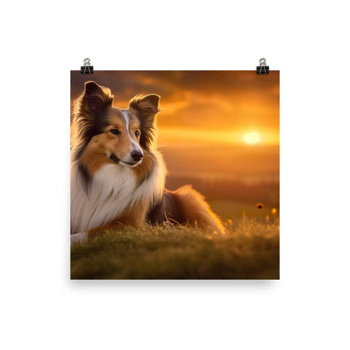 Shetland Sheepdog Watching the Sunset Photo paper poster - PosterfyAI.com