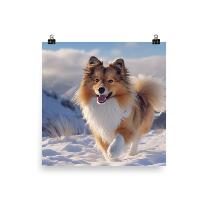 Shetland Sheepdog Playing in the Snow Photo paper poster - PosterfyAI.com