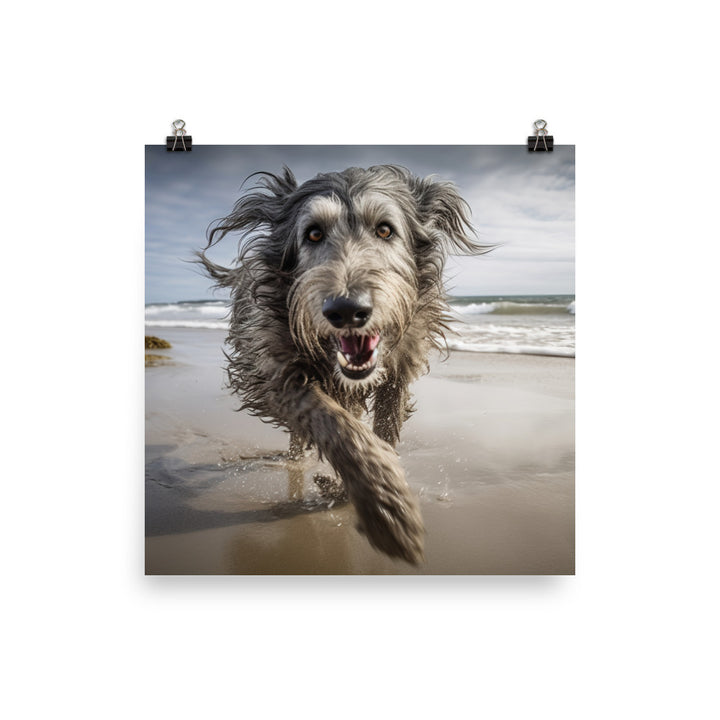 Scottish Deerhound on the Beach Photo paper poster - PosterfyAI.com