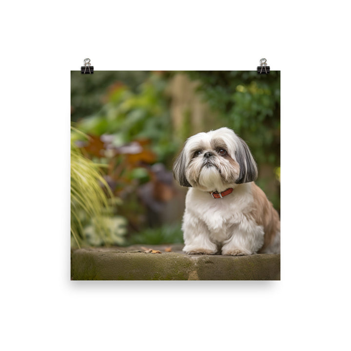 Regal Shih Tzu Posing in the Garden Photo paper poster - PosterfyAI.com