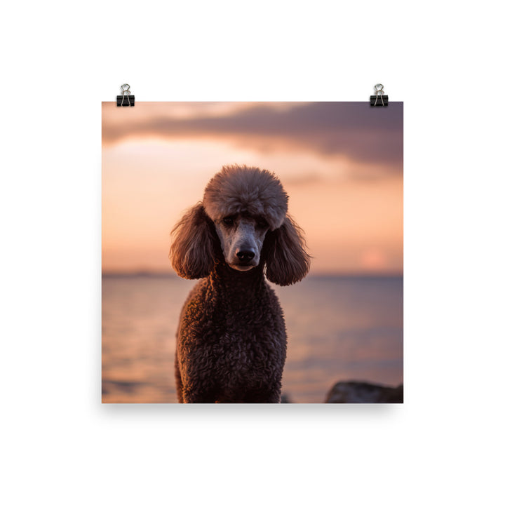 Poodle by the Seaside Photo paper poster - PosterfyAI.com