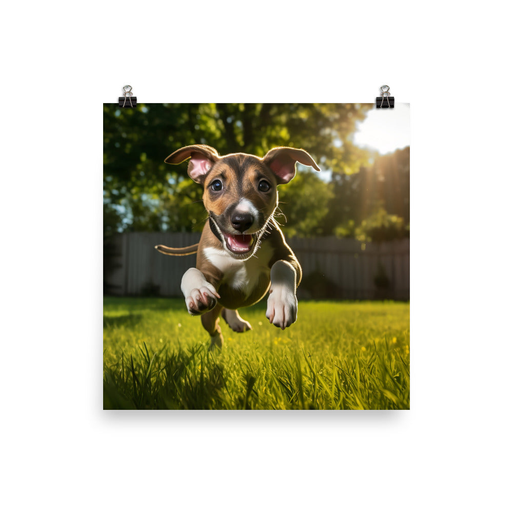 Playful Greyhound Pup Photo paper poster - PosterfyAI.com