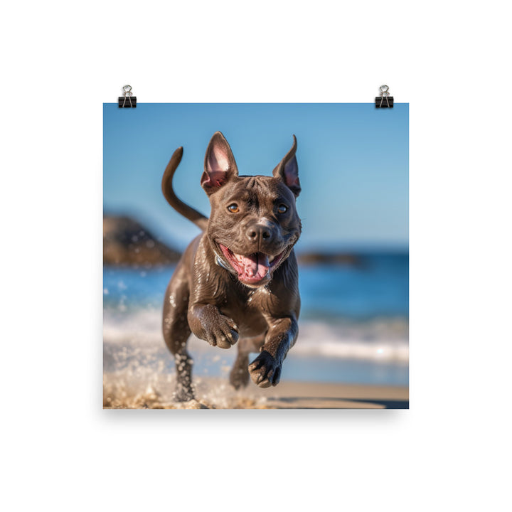 Playful American Staffordshire Terrier Photo paper poster - PosterfyAI.com