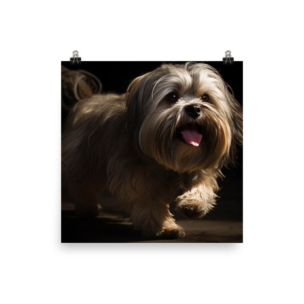 Lhasa Apso Playtime Photo paper poster - PosterfyAI.com