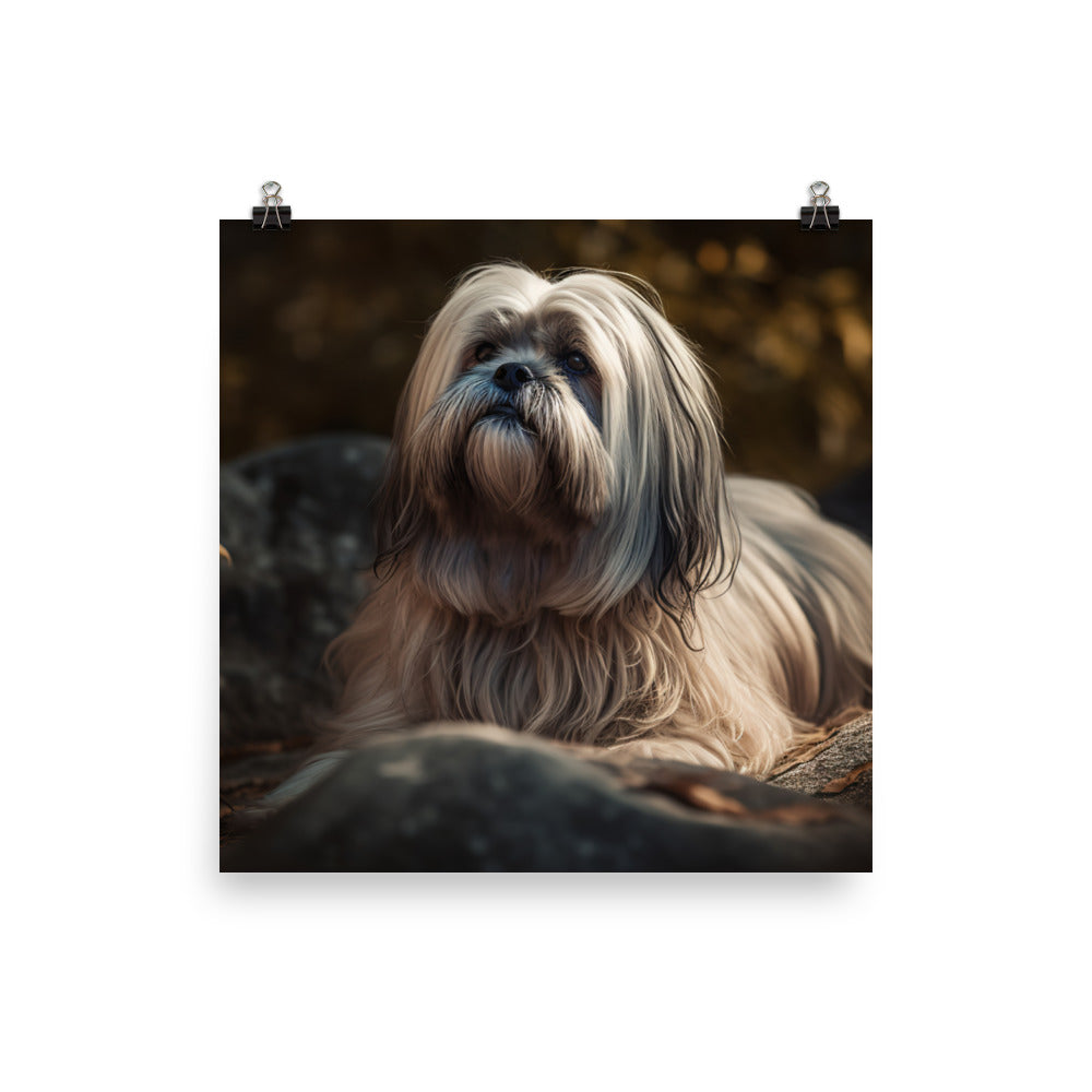 Lhasa Apso in Nature Photo paper poster - PosterfyAI.com