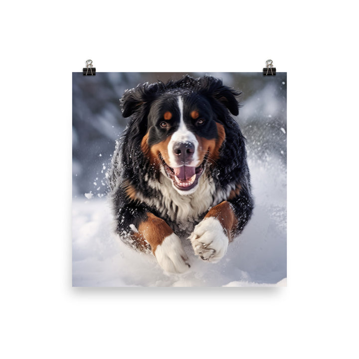 Happy Bernese Mountain Dog Photo paper poster - PosterfyAI.com