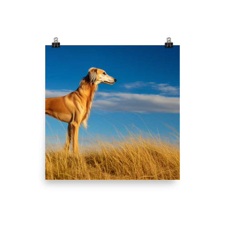 Graceful Saluki Photo paper poster - PosterfyAI.com