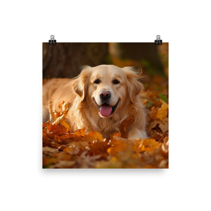 Golden Retriever in the Fall Photo paper poster - PosterfyAI.com