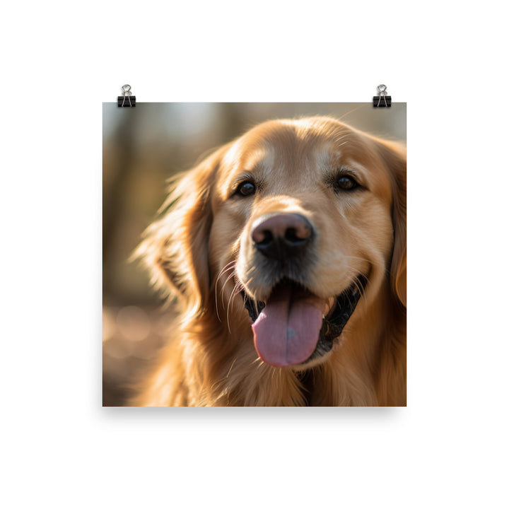 Golden Retriever Photo paper poster - PosterfyAI.com