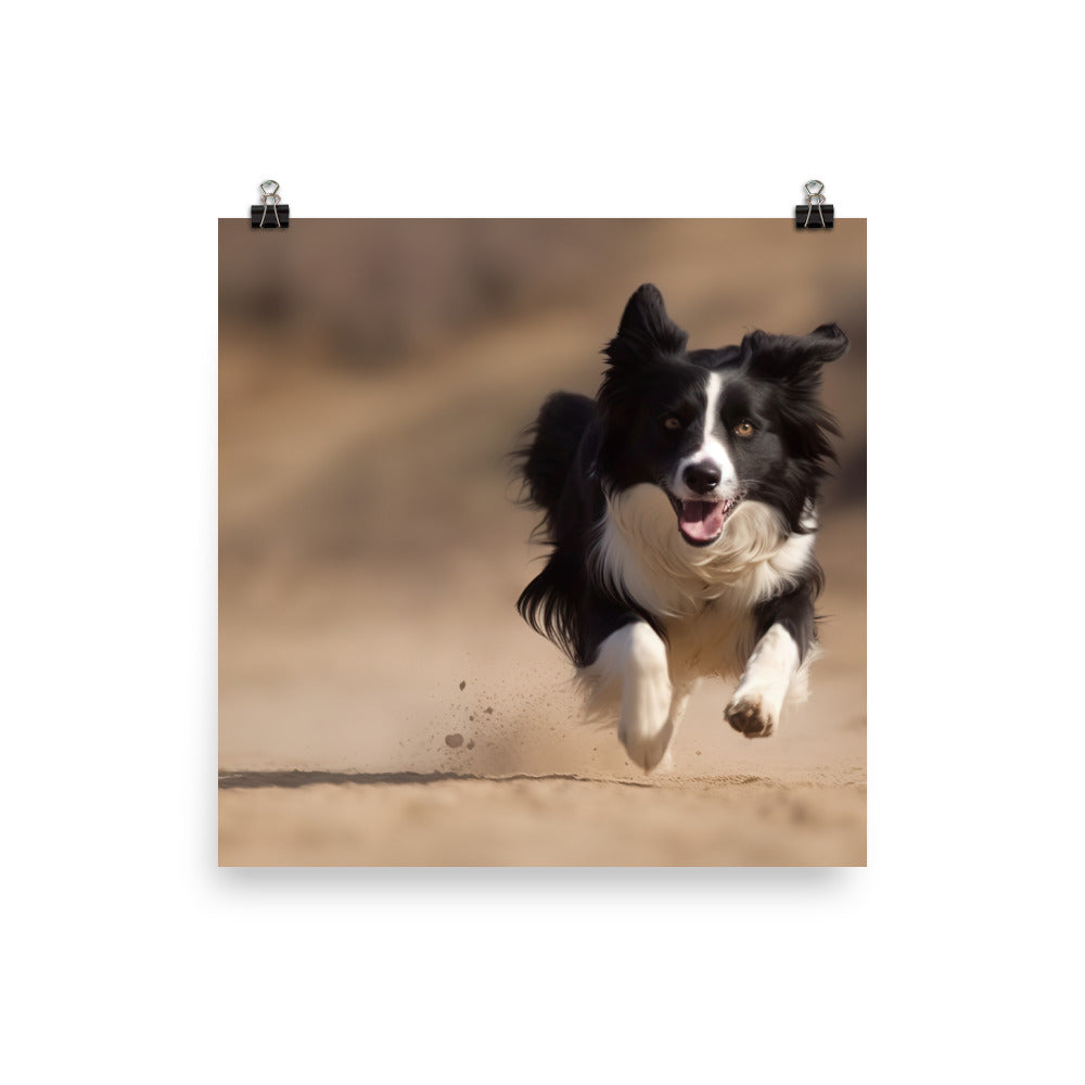 Energetic Border Collie in Action Photo paper poster - PosterfyAI.com