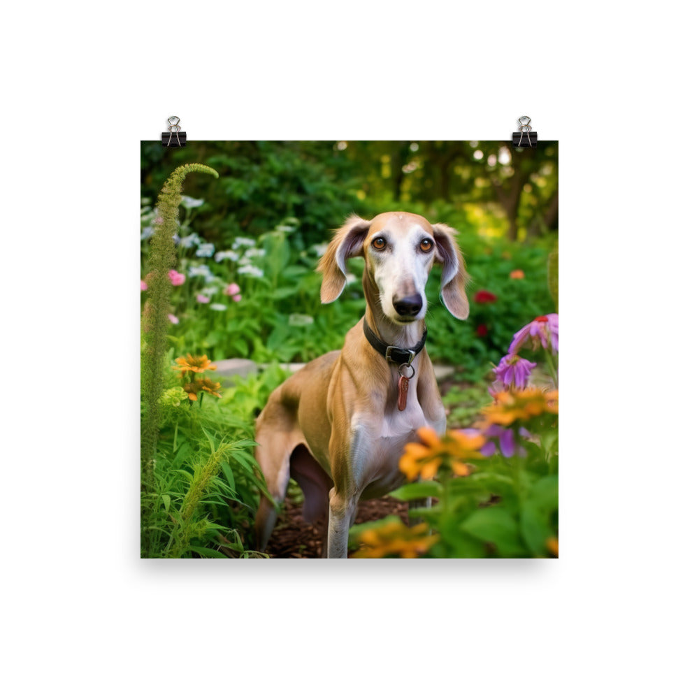 Elegant Saluki Photo paper poster - PosterfyAI.com