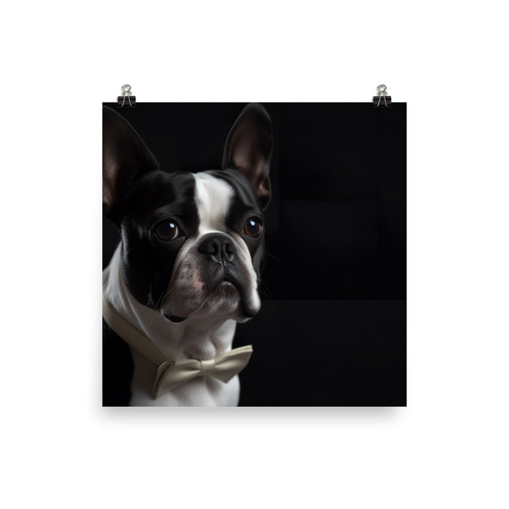 Elegant Boston Terrier Portrait Photo paper poster - PosterfyAI.com