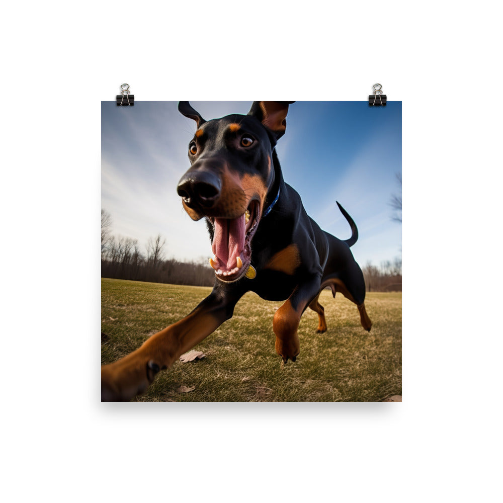 Doberman Pinschers love of running Photo paper poster - PosterfyAI.com