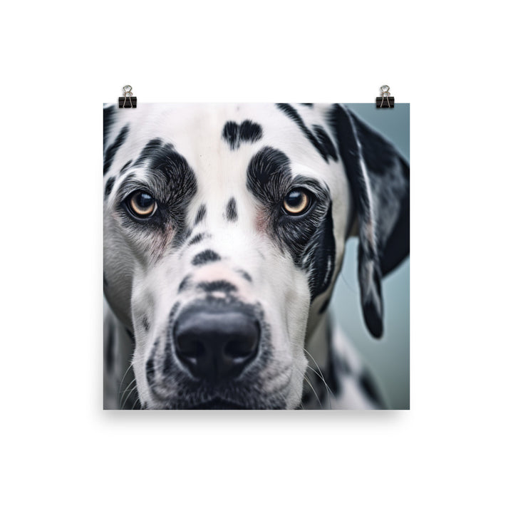 Dalmatians face Photo paper poster - PosterfyAI.com