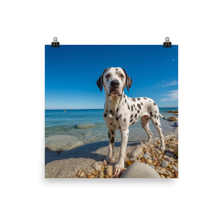 Dalmatian on the Beach Photo paper poster - PosterfyAI.com
