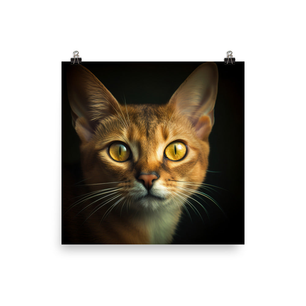 Eyes of Abyssinian Cat Photo paper poster - PosterfyAI.com