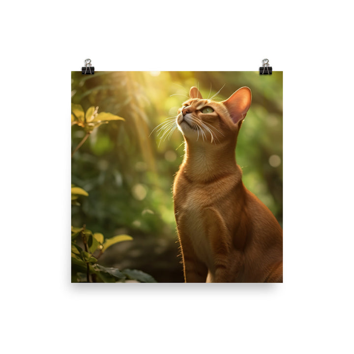 Elegance of Abyssinian Cat Photo paper poster - PosterfyAI.com