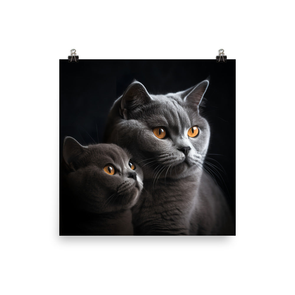 British Shorthair Cat Photo paper poster - PosterfyAI.com