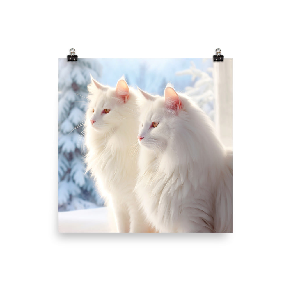 Turkish Van Cat in Winter Photo paper poster - PosterfyAI.com