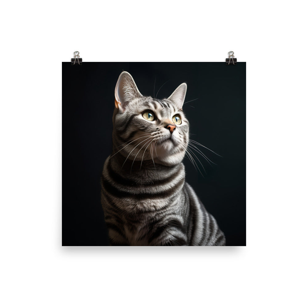 American Shorthair Cat Photo paper poster - PosterfyAI.com