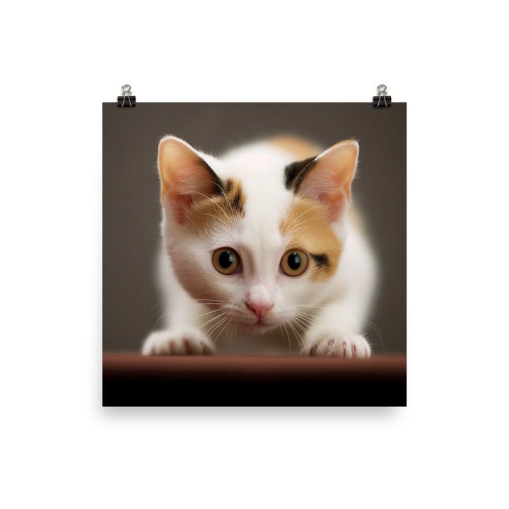 Japanese Bobtail Kitten Photo paper poster - PosterfyAI.com