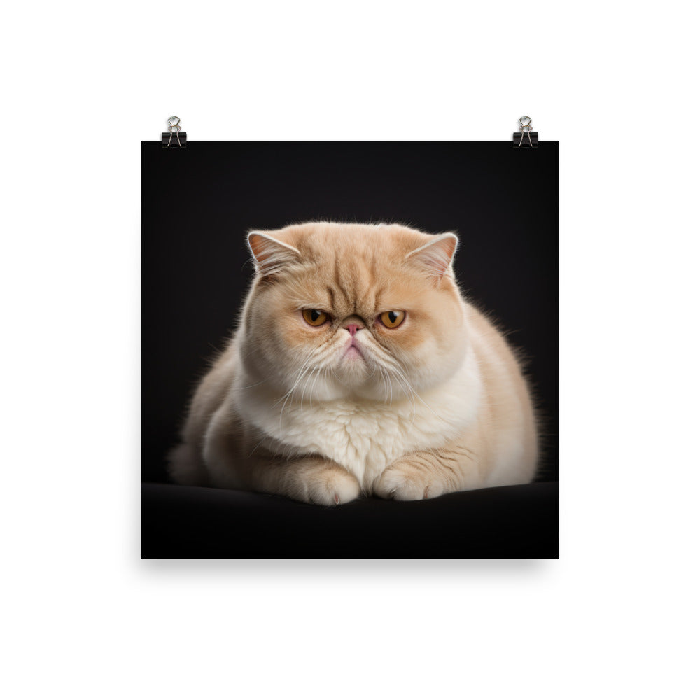 Elegance of Exotic Shorthair Cat Photo paper poster - PosterfyAI.com