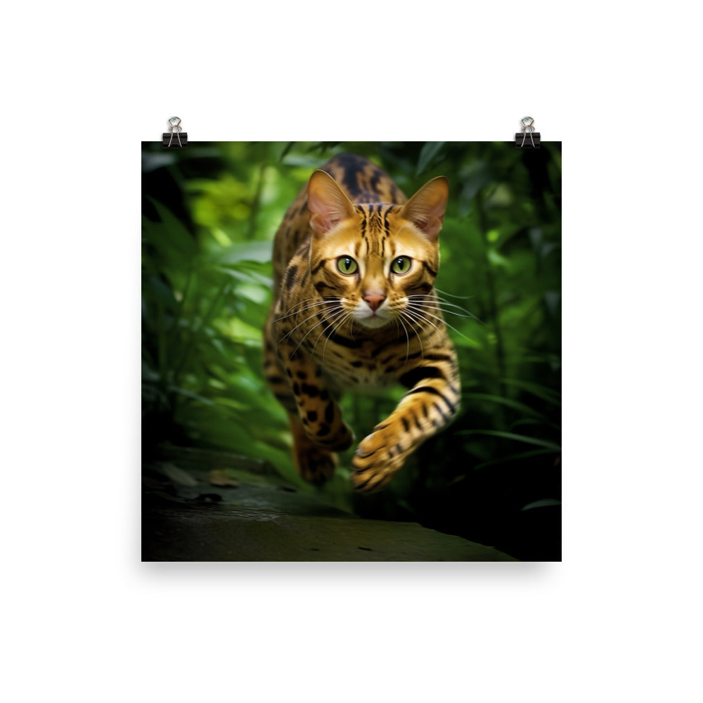 Bengal Cat Hunting Adventure Photo paper poster - PosterfyAI.com