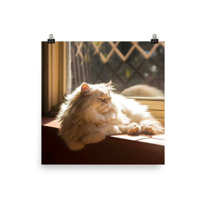 Persian Cat Relaxation Photo paper poster - PosterfyAI.com