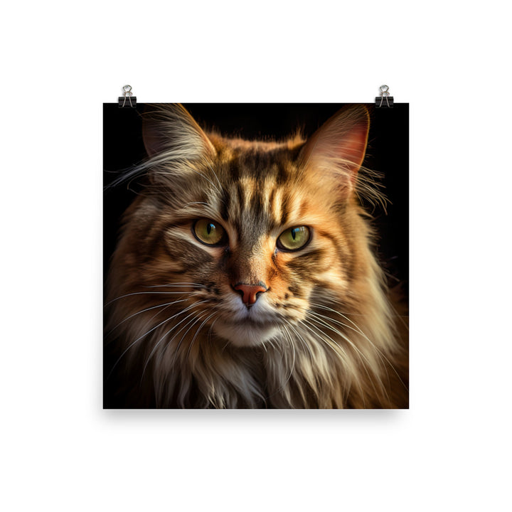 Majestic Maine Coon Portrait Photo paper poster - PosterfyAI.com