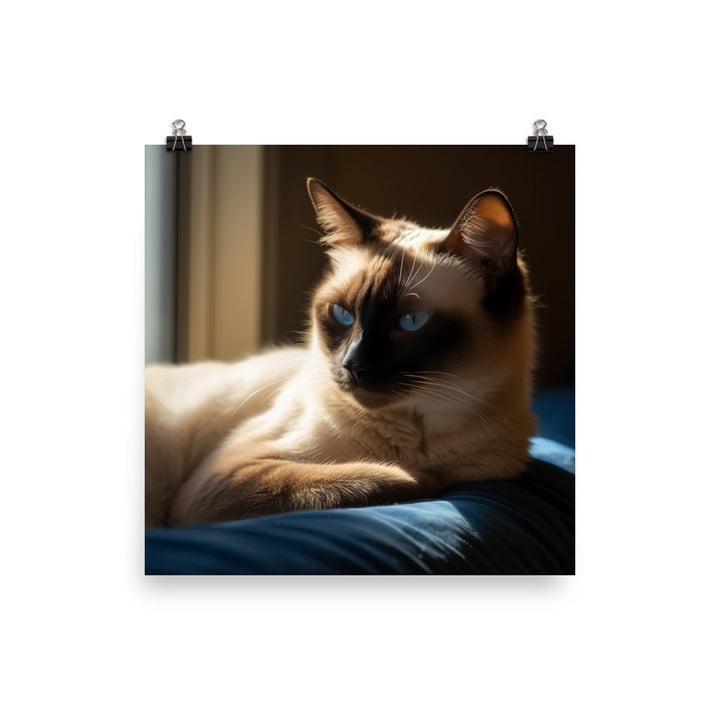 Siamese Serenity Photo paper poster - PosterfyAI.com