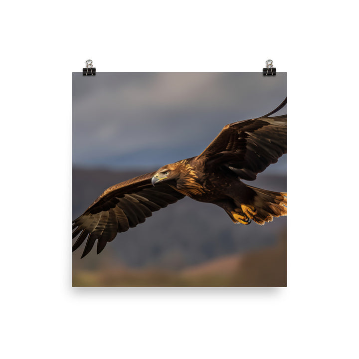 Golden Eagle soaring high in the sky Photo paper poster - PosterfyAI.com