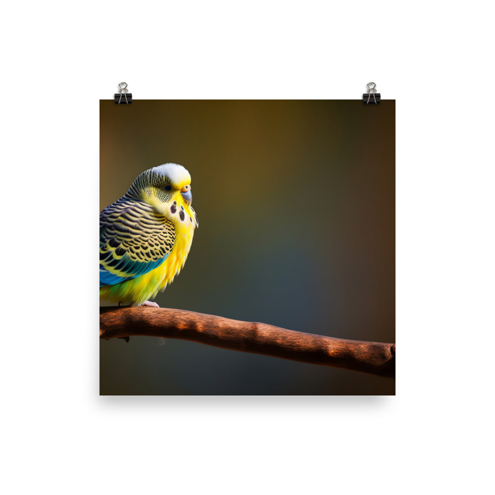 Cheerful Budgie on a Perch Photo paper poster - PosterfyAI.com