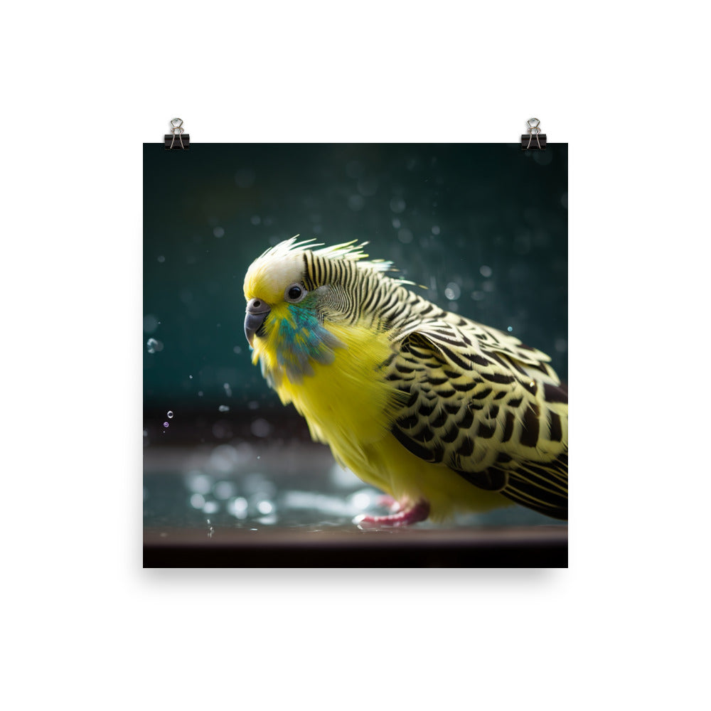 Budgie Taking a Bath Photo paper poster - PosterfyAI.com