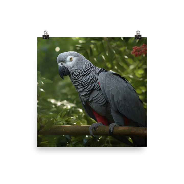 African Grey Parrot in Natural Habitat Photo paper poster - PosterfyAI.com