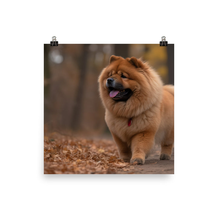 Chow Chow Taking a Leisurely Stroll Photo paper poster - PosterfyAI.com