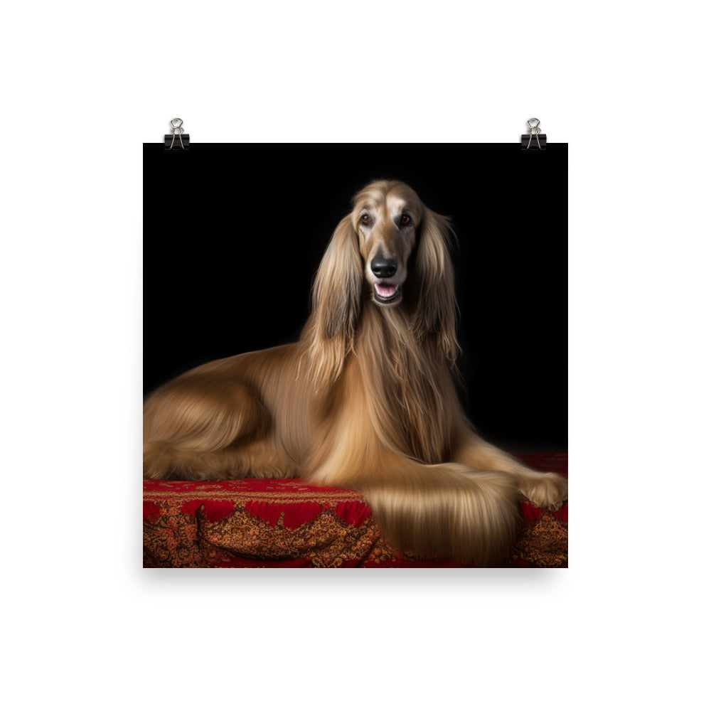 Afghan Hound in a regal pose Photo paper poster - PosterfyAI.com