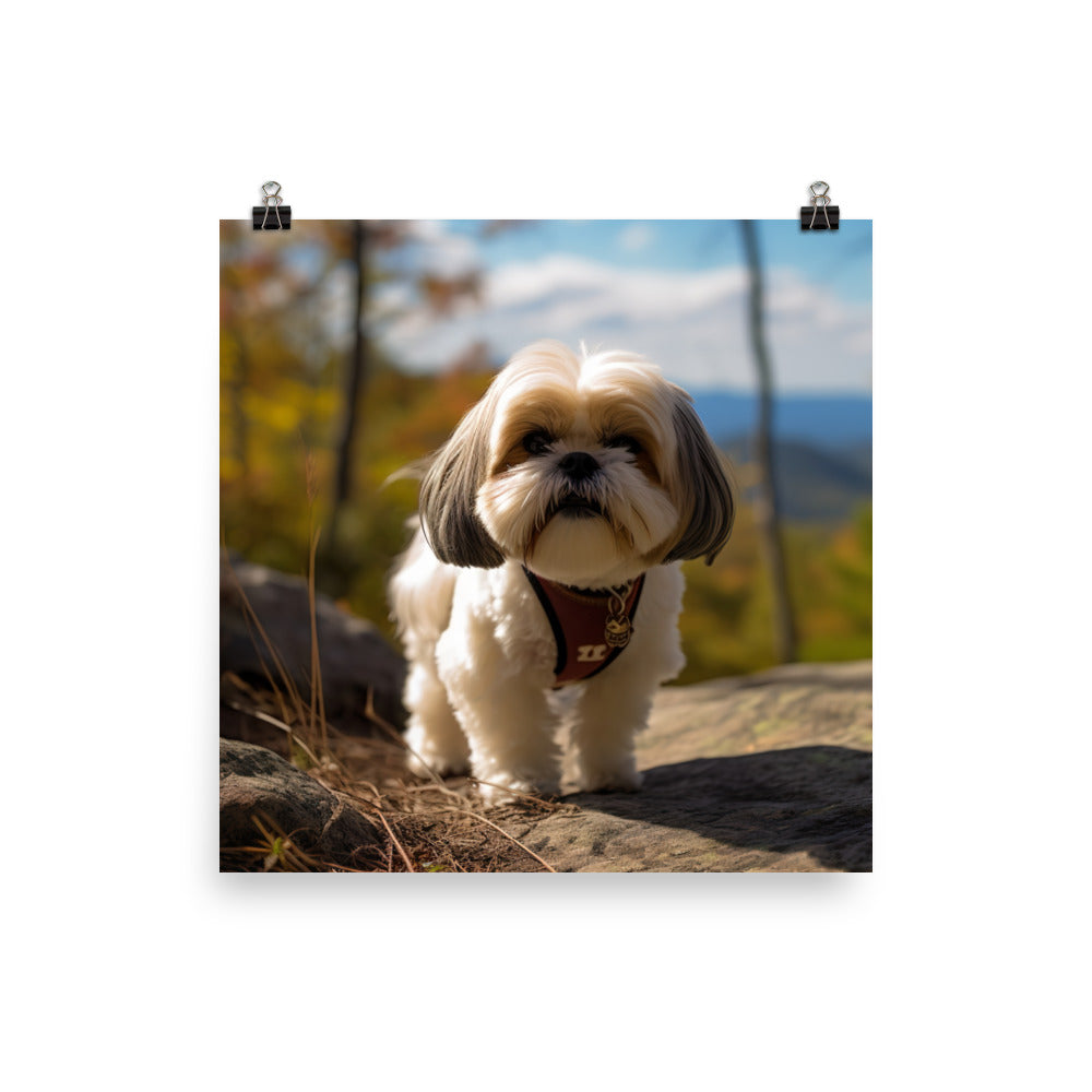 Adventurous Shih Tzu on a Hike Photo paper poster - PosterfyAI.com