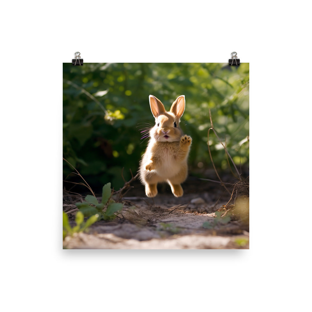 Rhinelander Bunny Enjoying a Playful Hop Photo paper poster - PosterfyAI.com