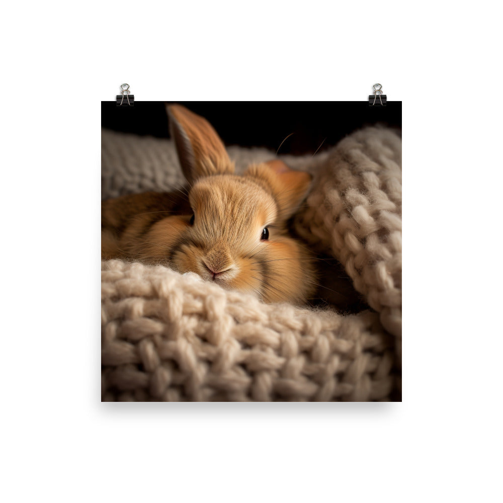 Jersey Wooly Bunny in a Cozy Setting Photo paper poster - PosterfyAI.com
