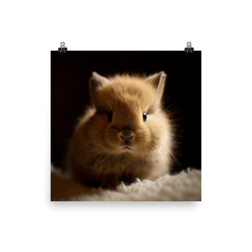 Adorable Jersey Wooly Bunny Photo paper poster - PosterfyAI.com