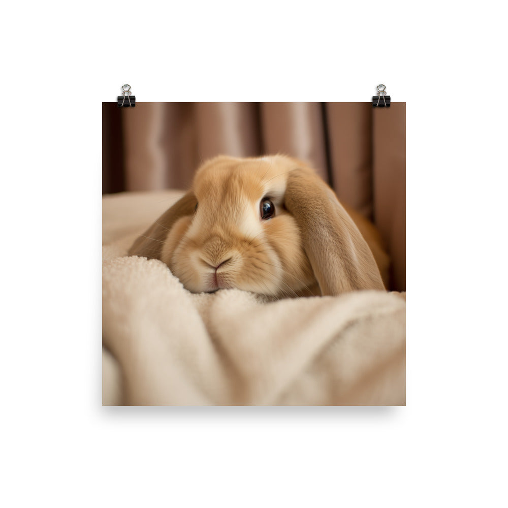 Holland Lop Bunny in a Cozy Setting Photo paper poster - PosterfyAI.com