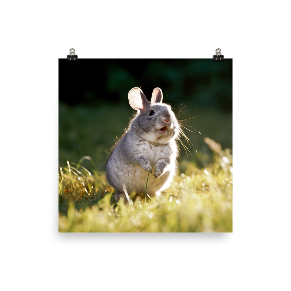 Chinchilla Bunny Enjoying a Playful Hop Photo paper poster - PosterfyAI.com