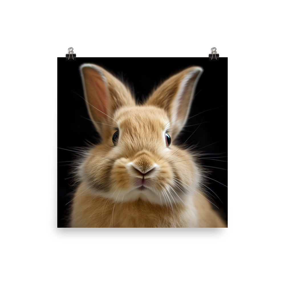 Portrait of a Fluffy American Bunny Photo paper poster - PosterfyAI.com