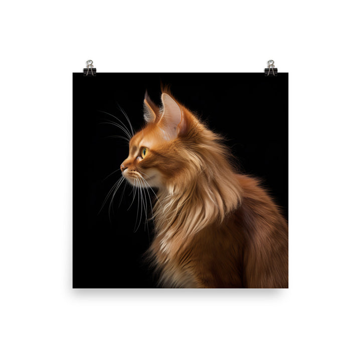 Beauty of Somali Cat Photo paper poster - PosterfyAI.com